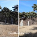 보령 충정공 이시방신도비 티스토리