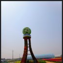 노란 유채밭으로 물들어버린 평택농업기술센터 이미지