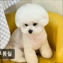 두루몽실 이미지