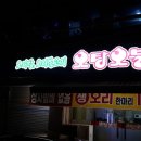 오탕오불 네이버블로그
