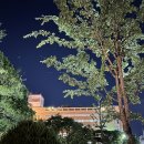 어데고당구장 이미지