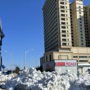 주홍민박 이미지