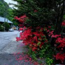 완두콩가족펜션 이미지