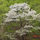 하루의 찬 이미지