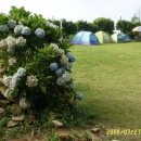 미카엘민박 이미지