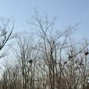 (주)브레이드 | 2월 일상로그, 운동로그, 서울자취방 꿀팁, 2026 K5 언박싱