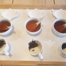 보이차&홍차 티 소믈리에 이미지