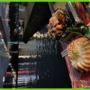 여수시민로 이미지