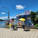 장도낙지 이미지