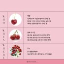 새로이담다