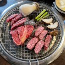 투뿔나인