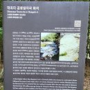 울주 대곡리 반구대 암각화 이미지