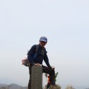 2016040 이미지