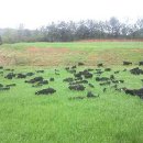 수암영농조합 이미지