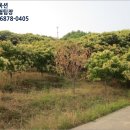 은산내지보건진료소 | °은산면 토지(전)부동산경매(2015타경2078) °부여군 토지(전)경매대행§충남 부여군 은산면 내지리