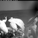 구슬치기 이미지