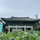 애리네식당 | 별마당 도서관에서 들은 애리 님의 인생 수업