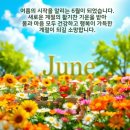 ‘이 채소’ 의외로 생으로 먹으면 좋다던데, 뭐지? 이미지