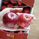 신태양농장 이미지