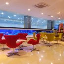 천안스포츠마스터클럽 천안SMC 수영장 이미지