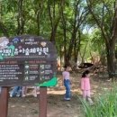 쉬자파크 이미지