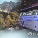 금강산관광여행사