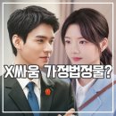 중드 가사법정 후기 감정의 쓰레기통 된 판사 변호사 드라마