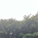 존자암지 | 제주도로 가요 (2)