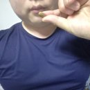 남성축산 | 가든오브라이프 유기농 남성 멀티비타민 네이버 가정의 달 + 세일 시기에 쟁여보기