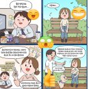 비타씨디