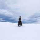 디럭스투어 주식회사 | 2025-2026년 겨울, 삿포로 비에이 투어 비교 분석