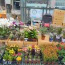 안중조약국 이미지