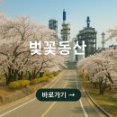 SK인천석유화학 벚꽃동산 축제