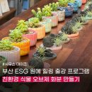 부산 esg 친환경 출강 식물 화분 오브제 만들기 원예 힐링 테라피