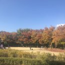 주안체육공원 이미지