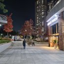 맘스터치 기흥역AK점 네이버블로그