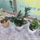 평화부동산공인중개사사무소 이미지