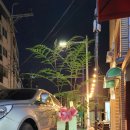플라워카페수경화원