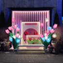 오월드1 | 아이랑 1박 2일 대전여행 오월드 사파리 나이트유니버스 불꽃놀이 동선 할인 꿀팁