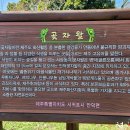 서광동리 이미지