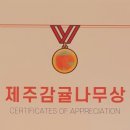 리본(Reborn) 이미지