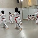 경희대 향남태권도 네이버블로그