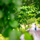 금소생태공원3 이미지