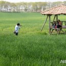 고창국수 Daum카페