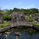 녹차분재로 이미지