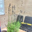 신태인문화의집 이미지