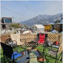 보람애견 이미지