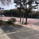 신시가지사거리(베스킨라빈스 앞) 이미지