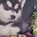 파주힐링몽 이미지