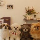 서동농장 이미지